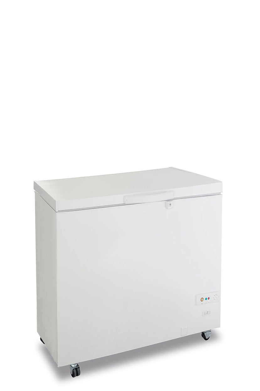 Frizider – model CL 300 PSK